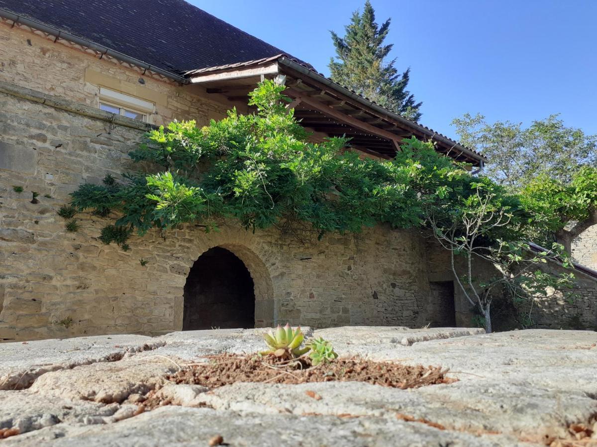 Gite "Las Casitas Du Lot" Dans Le Perigord Frayssinet-le-Gélat Kültér fotó